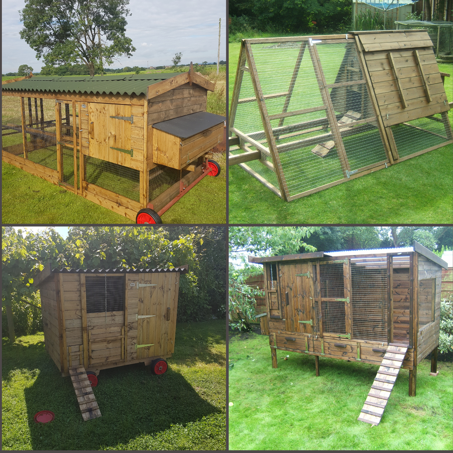 Chicken Coops 3 - 18 Chickens